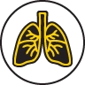 rsv infection in lungs icon.webp